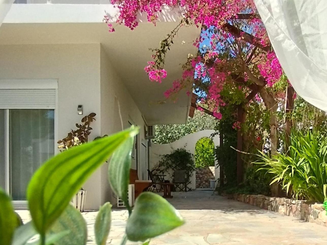 Livadia Marilenアパートメント エクステリア 写真